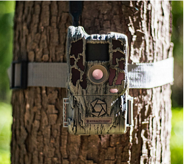 Trail Camera